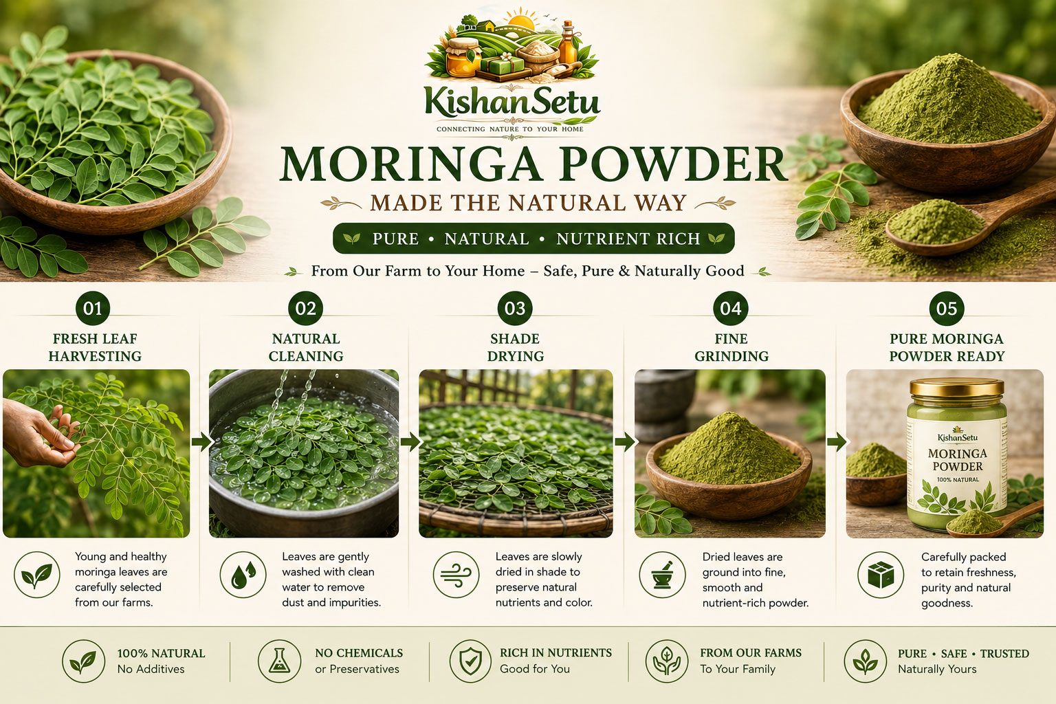 Moringa-powder-process